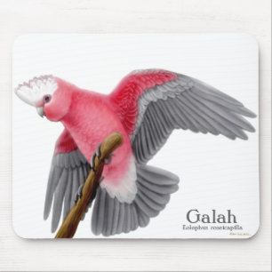 Cockatoo Mousepad de Galah