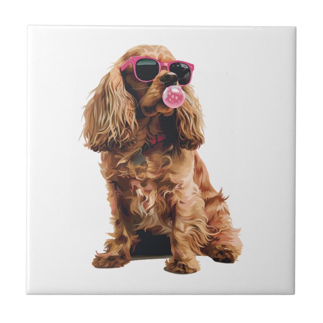 Cocker Spaniel (Frente)