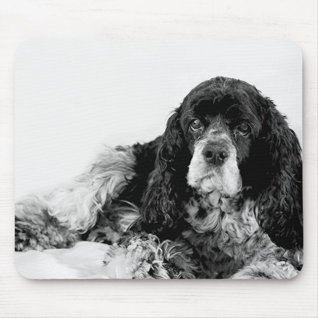 Cocker Spaniel Preto e Branco Mouse Pad (Frente)