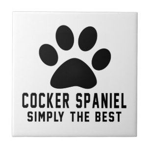 Cocker spaniel simplesmente o melhor