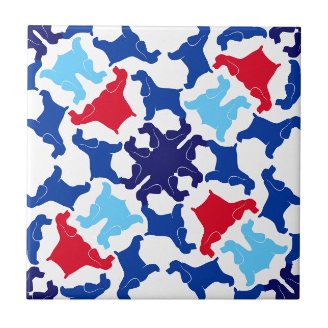 Cocker Spaniels Ingleses (Frente)