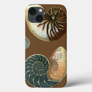 Cocoa Shell