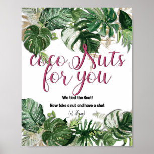 CocoNuts para você - poster