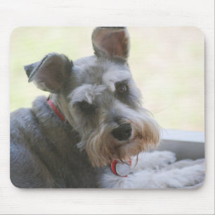 Cocos, mini mousepad do Schnauzer