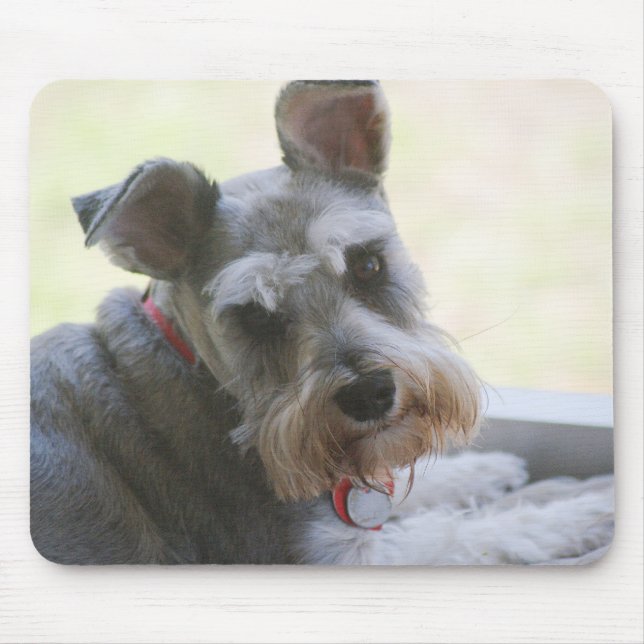 Cocos, mini mousepad do Schnauzer (Frente)