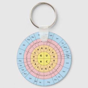 Código Genético Chaveiro