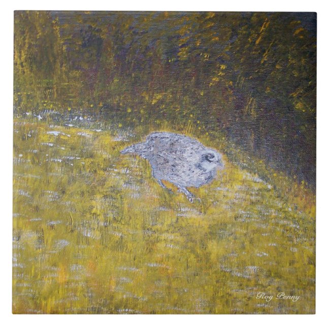 Codorniz do branco de Bob (Frente)