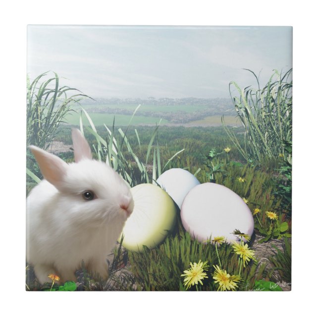 Coelhinho de Páscoa e Ovos de Páscoa (Frente)