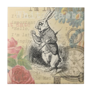 Coelho Branco Aventuras de Alice no País das Marav