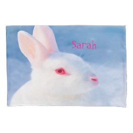 Coelho branco-cinto sobre fundo azul adiciona nome