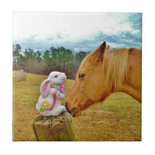 Coelho branco e cavalo amarelo