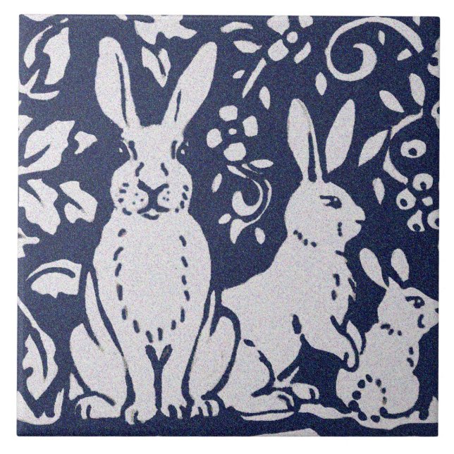 Coelho Cinza Azul Granite Pedra Pedra Arte Animal (Frente)