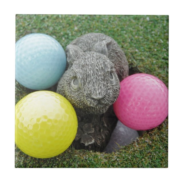 Coelho com ovo azul-rosa (Frente)