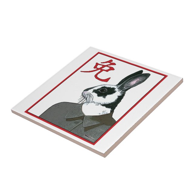 Coelho do Partido (Lateral)