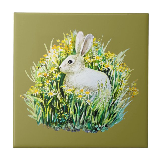 Coelho e flores amarelas (Frente)