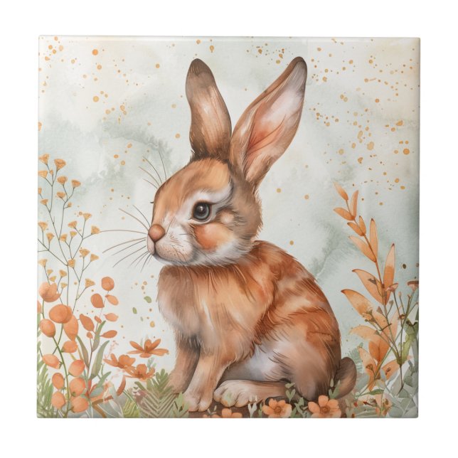 Coelho Fofo de Primavera (Frente)