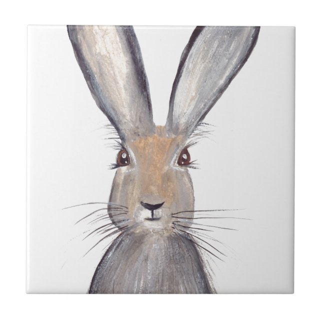 Coelho-leito-aquarela coalhada bosques (Frente)