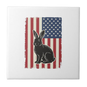 Coelho Patriótico Bandeira Americana Gravura Vinta