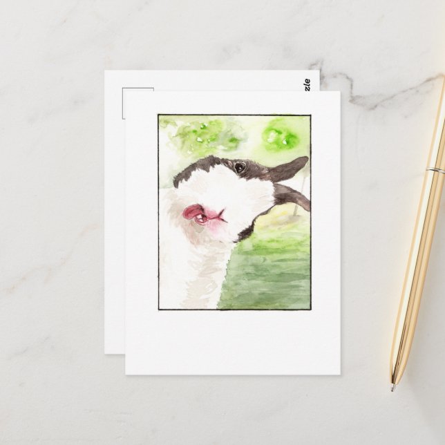 Coelho Pet Selfie - Cartões postais DNM (Frente/Verso In Situ)