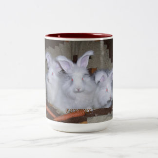 COELHOS ALEMÃES CAFÉ DO ANGORA & CANECA DO CACAU