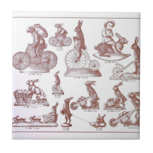 Coelhos antigos do catálogo do molde do chocolate