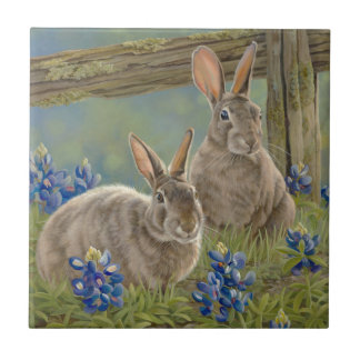 Coelhos & Bluebonnets