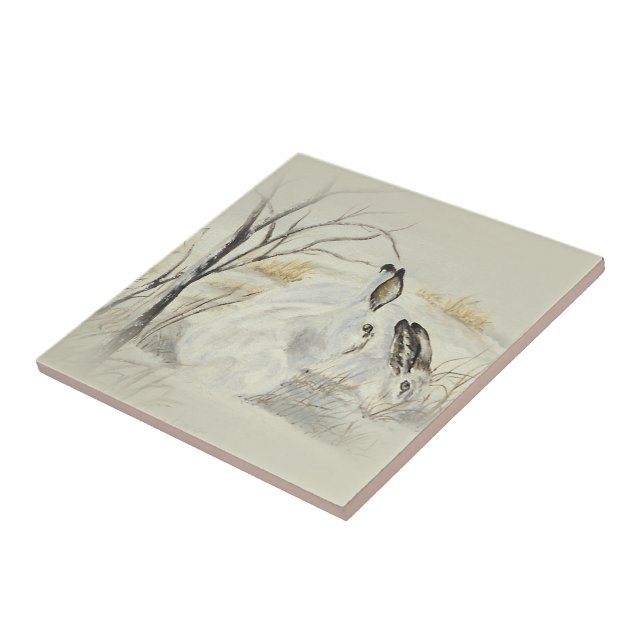 Coelhos/coelhos (Lateral)