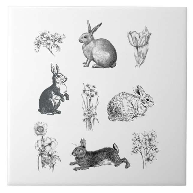 Coelhos de Páscoa de fazendas (Frente)