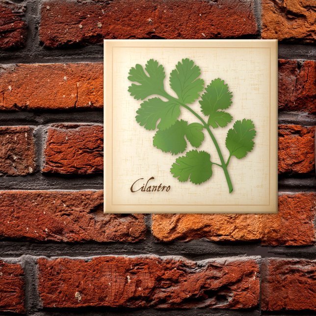Coentro Erva (Cilantro Herb Ceramic Tile, aromatic leaves with a distinctive flavor. )