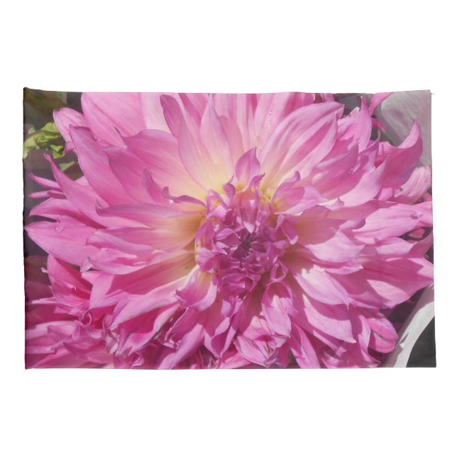 Cogniet (Parte Traseira - Direita)