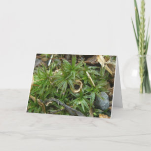 Cogumelo de Taça em Dec Moss #1 Cartão de Nota