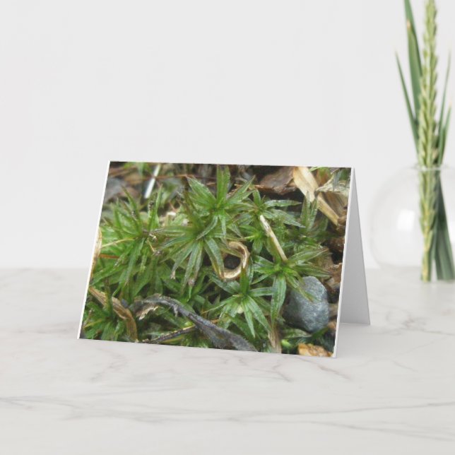 Cogumelo de Taça em Dec Moss #1 Cartão de Nota (Frente)