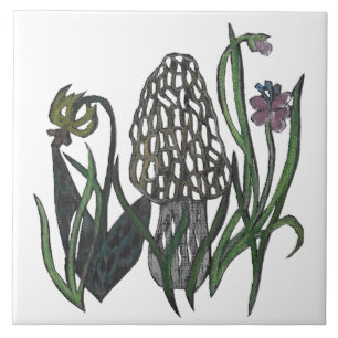 Cogumelo elegante Trivet do Morel