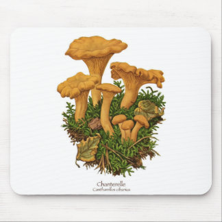 Cogumelo Mousepad da prima