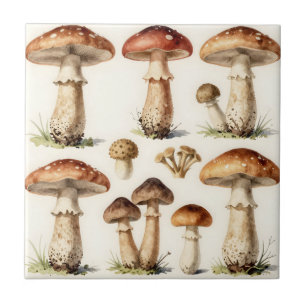 Cogumelo Toadstool Botânico Fungi Vintage