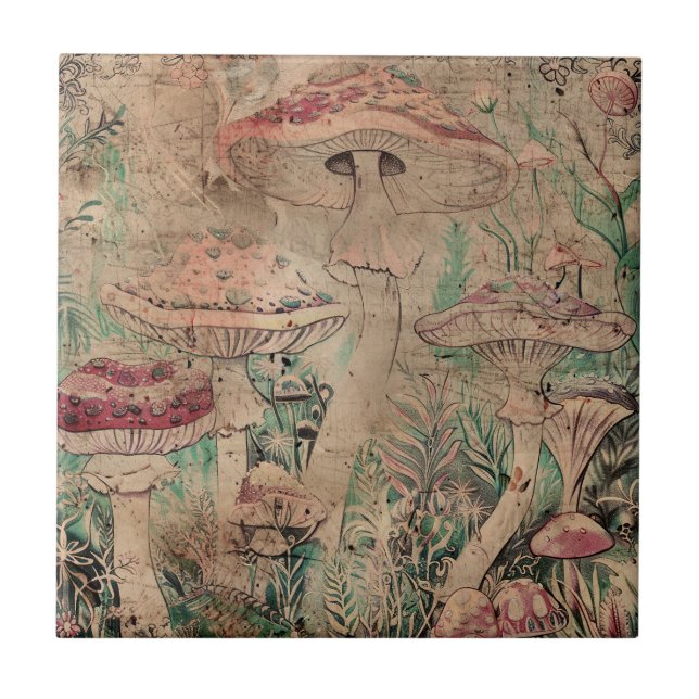 Cogumelo Vermelho (Frente)