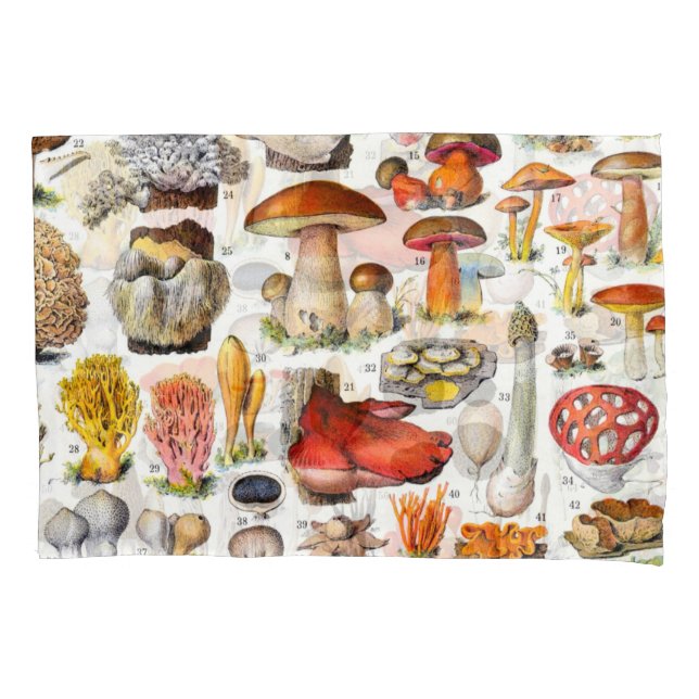 COGUMELOS 2 (Frente)