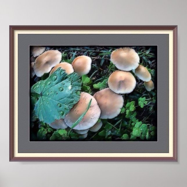 Cogumelos De Grama Poster (Frente)