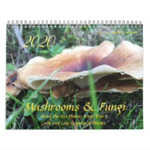 Cogumelos e Fungi 2020 Calendário