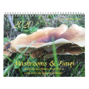 Cogumelos e Fungi 2020 Calendário