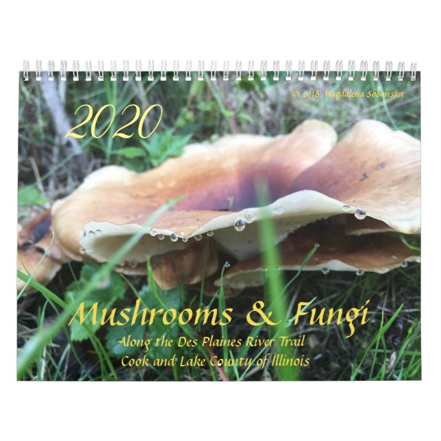 Cogumelos e Fungi 2020 Calendário (Capa)