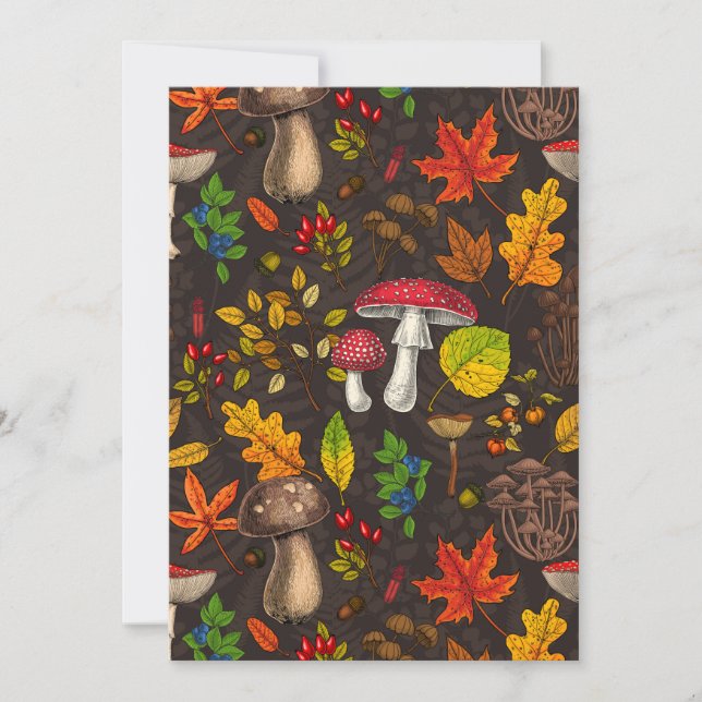 Cogumelos, folhas, loucos e bagas de outono à escu (Frente)