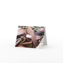 Cogumelos Pequenos no Cartão de Saudação Dobrado