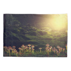 Cogumelos selvagens na floresta
