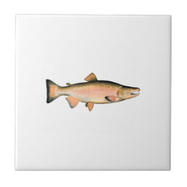 Coho - salmões de prata (que spawning a fase)