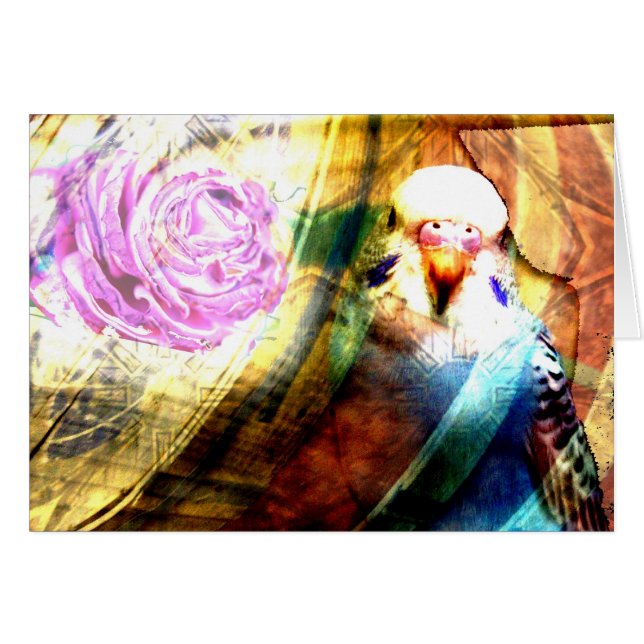 Colagem cor-de-rosa do Parakeet - cartão (Frente Horizontal)