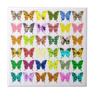 Colagem da borboleta