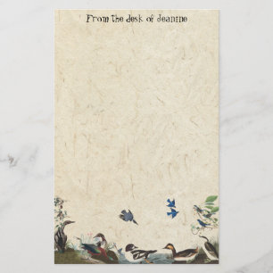 Colagem de Audubon de artigos de papelaria de