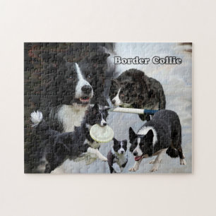 colagem de border collie do quebra-cabeça da foto