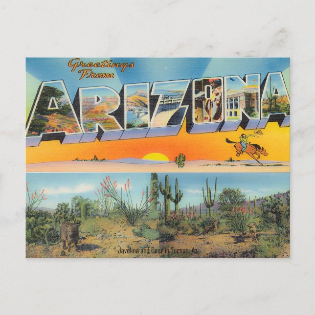Colagem de Cartões Postais de Arizona Vintage (Frente)